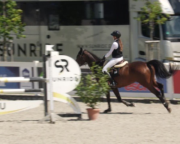 Reitturnier Babenhausen/Schw. 2025