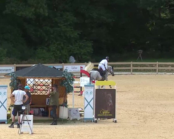 Reitturnier Tiefenhof/Opf. 2025