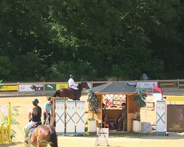Reitturnier Tiefenhof/Opf. 2025