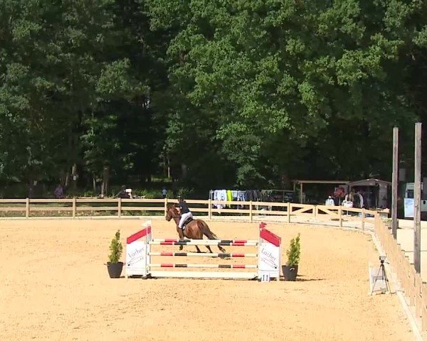 Reitturnier Tiefenhof/Opf. 2025