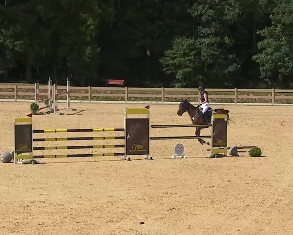 Reitturnier Tiefenhof/Opf. 2025