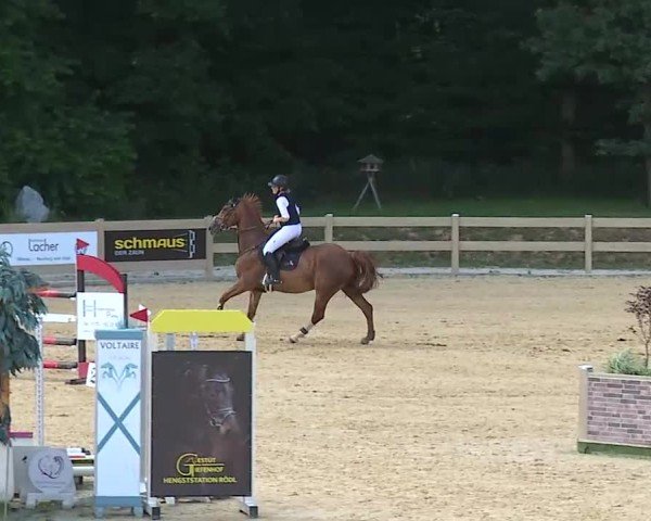 Reitturnier Tiefenhof/Opf. 2025