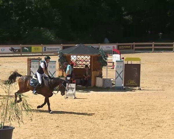 Reitturnier Tiefenhof/Opf. 2025