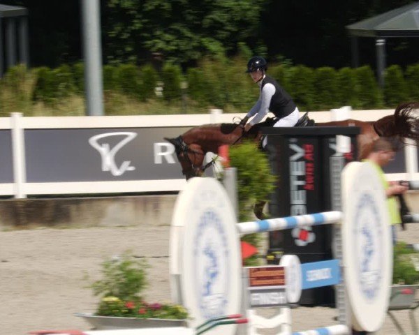 Reitturnier Babenhausen/Schw. 2025