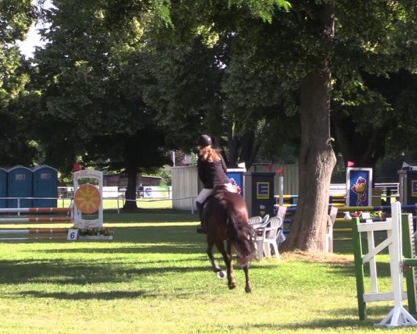 Reitturnier Schwittersdorf-Beesenstedt 2025