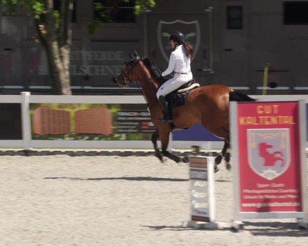 Reitturnier Babenhausen/Schw. 2025