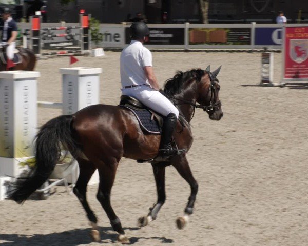 Reitturnier Babenhausen/Schw. 2025