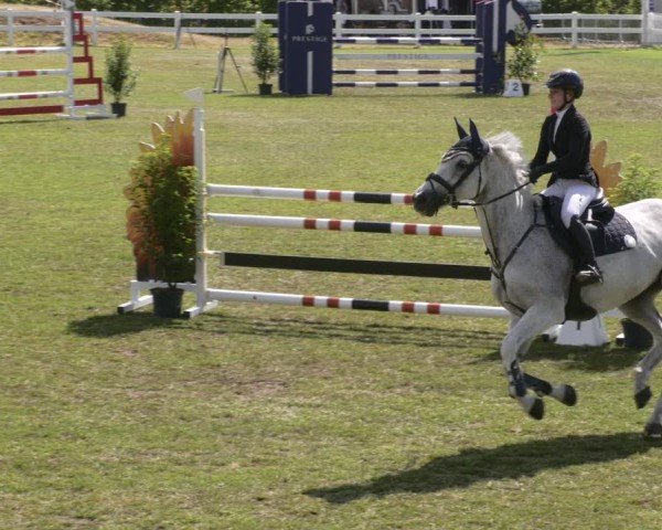 Reitturnier Aach 2025
