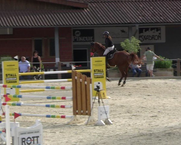 Reitturnier Uder, Reitanlage Kobold 2025