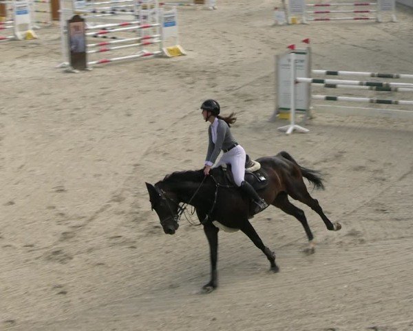 Reitturnier Uder, Reitanlage Kobold 2025