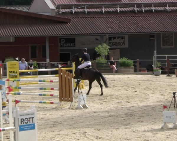 Reitturnier Uder, Reitanlage Kobold 2025