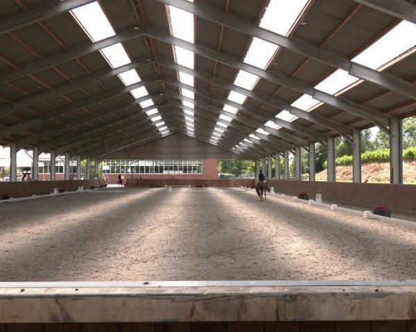 Reitturnier Langenfeld 2025