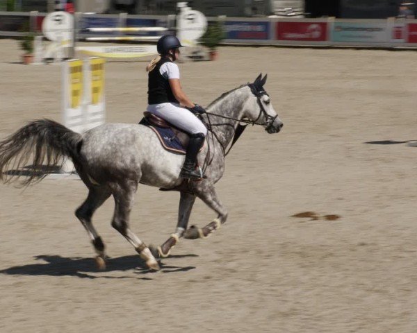 Reitturnier Babenhausen/Schw. 2025