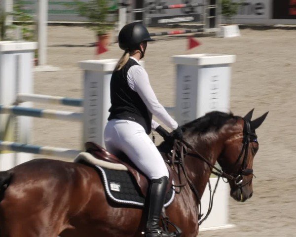 Reitturnier Babenhausen/Schw. 2025