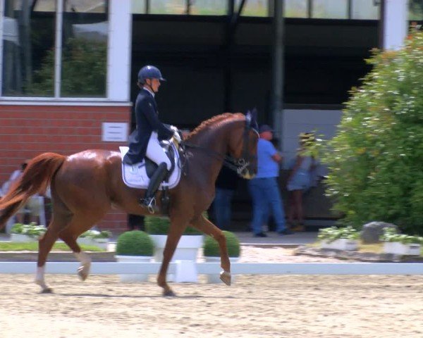Reitturnier Langenfeld 2025
