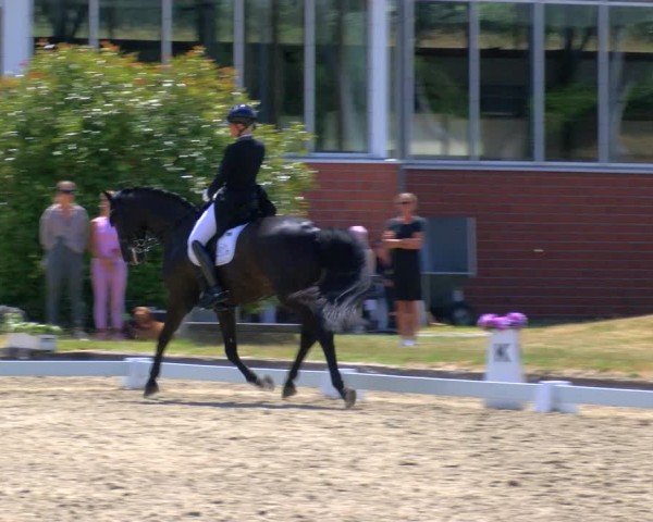 Reitturnier Langenfeld 2025
