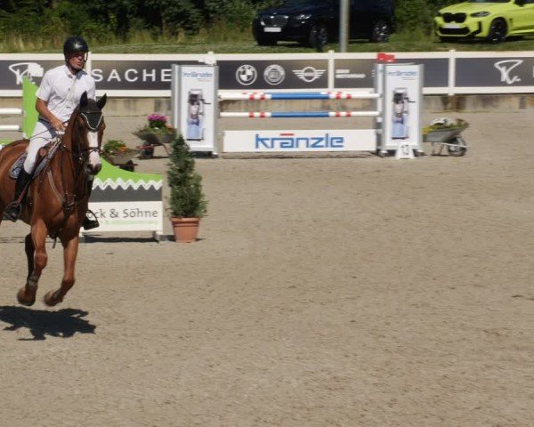 Reitturnier Babenhausen/Schw. 2025