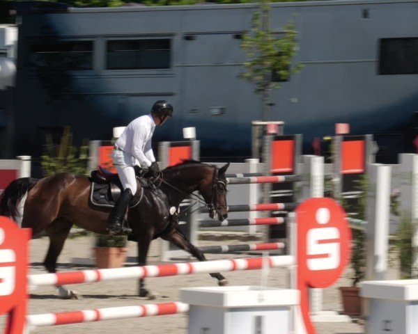 Reitturnier Babenhausen/Schw. 2025