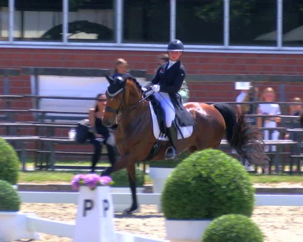 Reitturnier Langenfeld 2025