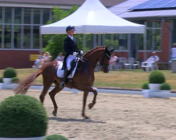 Reitturnier Langenfeld 2025