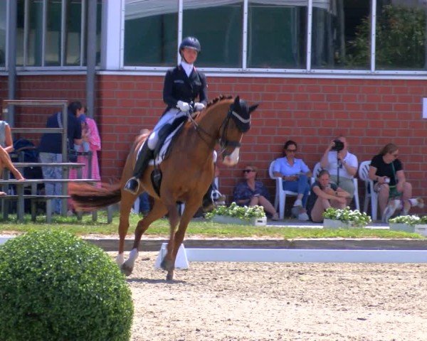 Reitturnier Langenfeld 2025