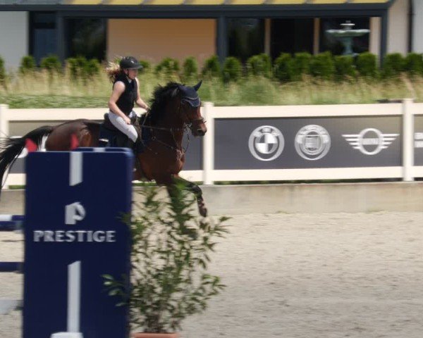 Reitturnier Babenhausen/Schw. 2025