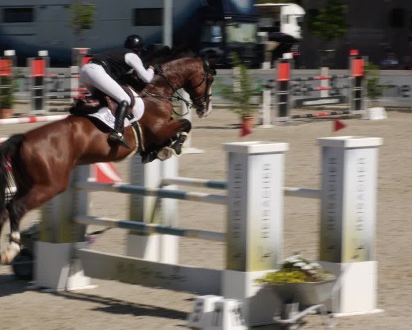 Reitturnier Babenhausen/Schw. 2025