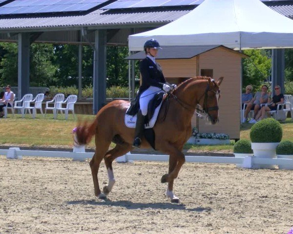 Reitturnier Langenfeld 2025