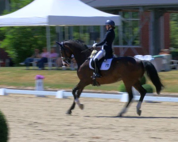 Reitturnier Langenfeld 2025