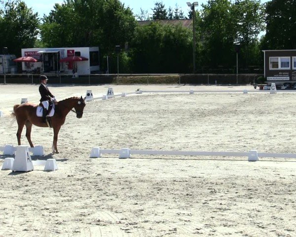 Reitturnier Großbardorf/Ufr. 2025