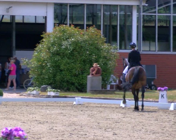 Reitturnier Langenfeld 2025