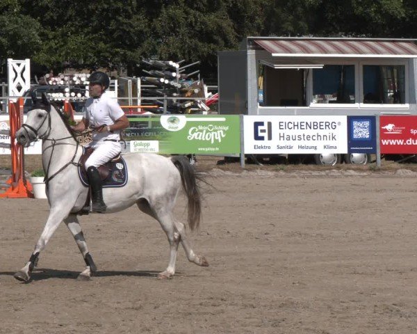 Reitturnier Langenfeld 2025