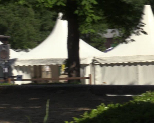Reitturnier Schwerte-Gut Kückshausen 2025