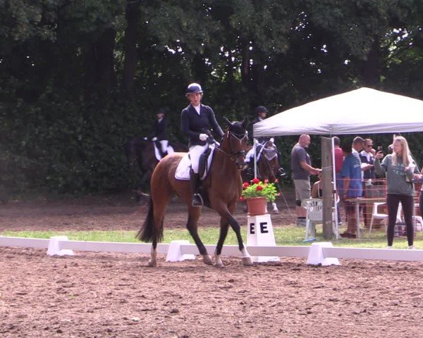 Reitturnier Schwittersdorf-Beesenstedt 2025