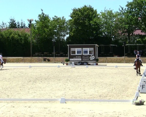 Reitturnier Großbardorf/Ufr. 2025