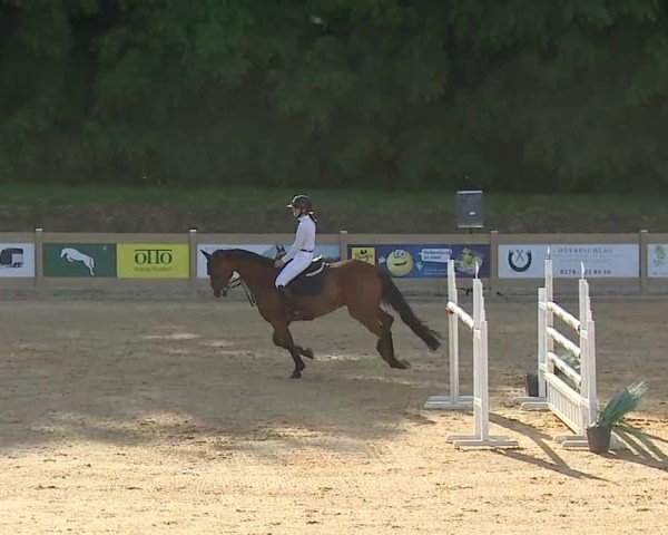 Reitturnier Tiefenhof/Opf. 2025