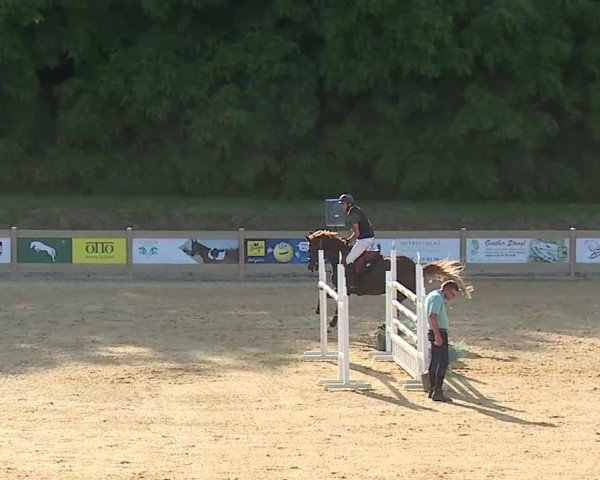 Reitturnier Tiefenhof/Opf. 2025