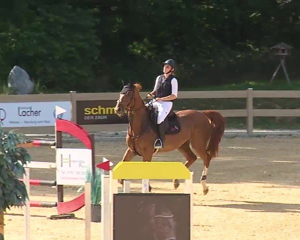 Reitturnier Tiefenhof/Opf. 2025