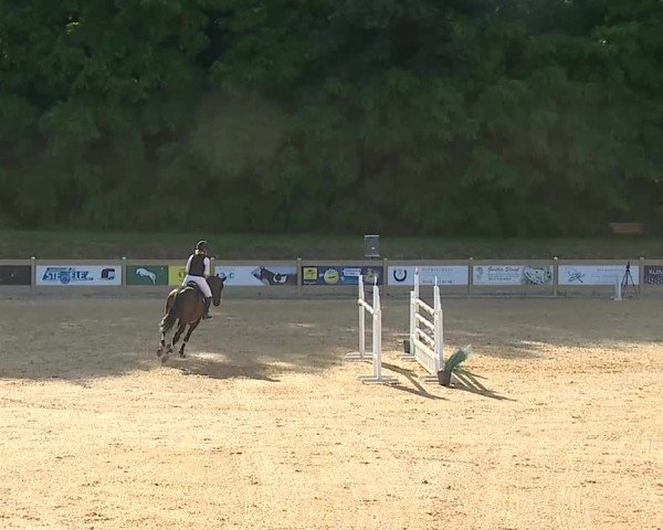 Reitturnier Tiefenhof/Opf. 2025