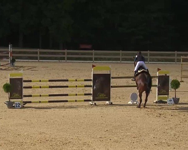 Reitturnier Tiefenhof/Opf. 2025