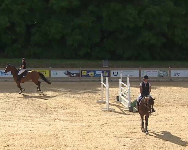Reitturnier Tiefenhof/Opf. 2025