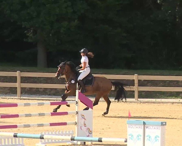 Reitturnier Tiefenhof/Opf. 2025