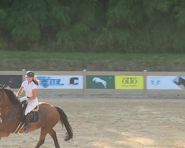Reitturnier Tiefenhof/Opf. 2025