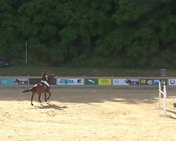 Reitturnier Tiefenhof/Opf. 2025
