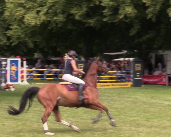 Reitturnier Schwittersdorf-Beesenstedt 2025