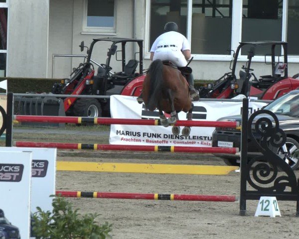 Reitturnier Langenfeld 2025