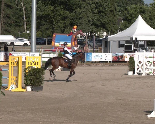 Reitturnier Langenfeld 2025