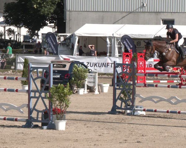 Reitturnier Langenfeld 2025