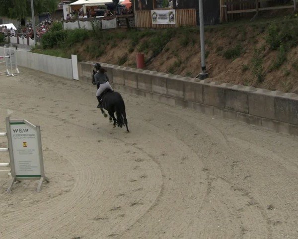 Reitturnier Uder, Reitanlage Kobold 2025