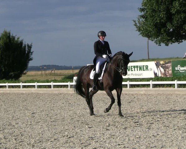 Reitturnier Dresden Gompitz 2025
